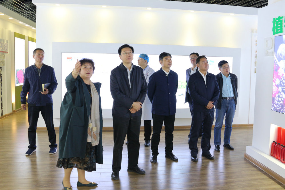 2020年11月2日省政府食安辦副主任，省市場(chǎng)監(jiān)督管理局副局長(zhǎng)王建防到公司調(diào)研指導(dǎo)工作.JPG